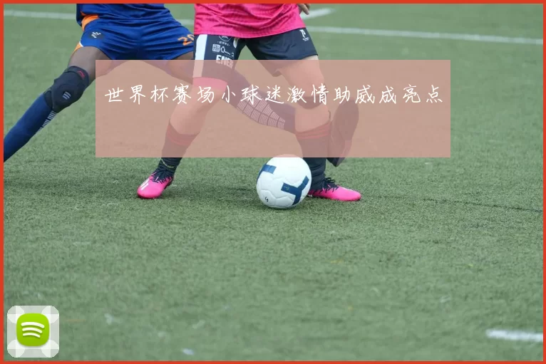 世界杯赛场小球迷激情助威成亮点