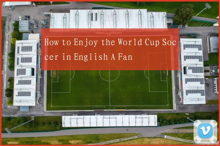 How to Enjoy the World Cup Soccer in English A Fan