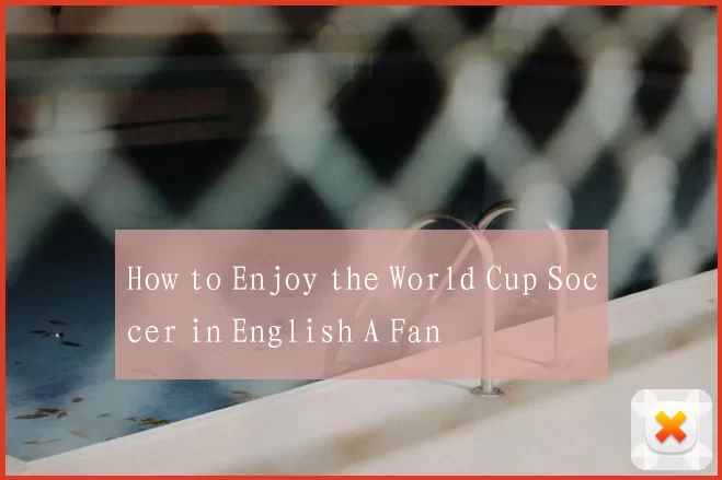 How to Enjoy the World Cup Soccer in English A Fan
