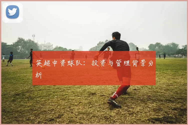 英超中资球队：投资与管理背景分析