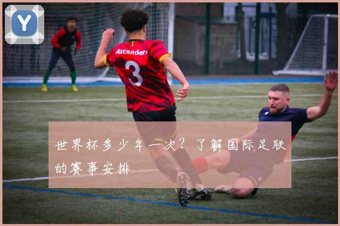 世界杯多少年一次？了解国际足联的赛事安排