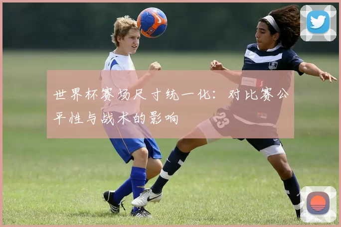 世界杯赛场尺寸统一化：对比赛公平性与战术的影响