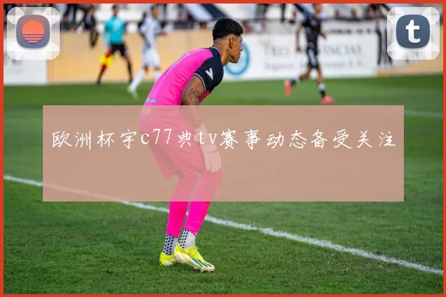 欧洲杯宇c77典tv赛事动态备受关注