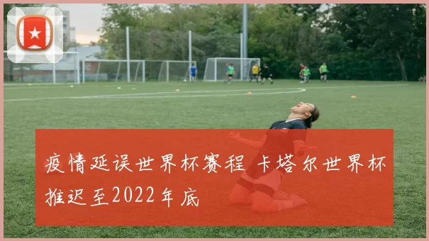 疫情延误世界杯赛程 卡塔尔世界杯推迟至2022年底