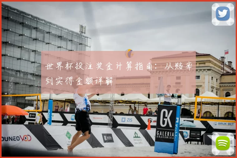世界杯投注奖金计算指南：从赔率到实得金额详解