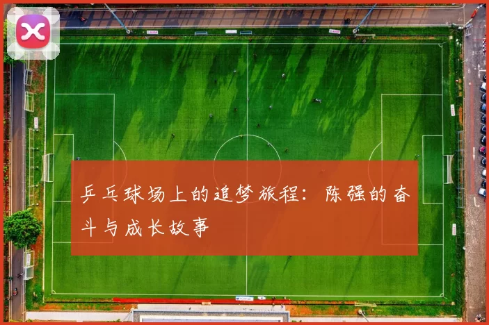 乒乓球场上的追梦旅程：陈强的奋斗与成长故事