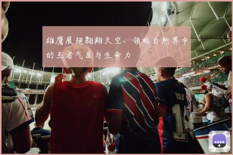 雄鹰展翅翱翔天空，领略自然界中的王者气度与生命力